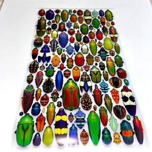 Christopher Marley Print